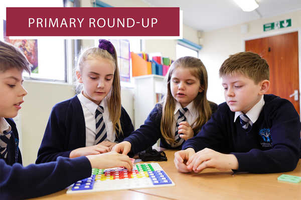 Primary Round-up - January 2022