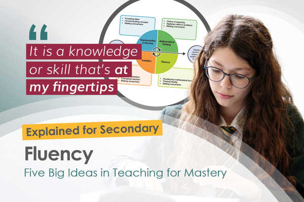 The Five Big Ideas at Secondary – Fluency