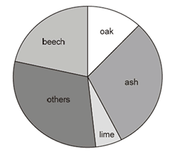 Pie charts showing types of trees
