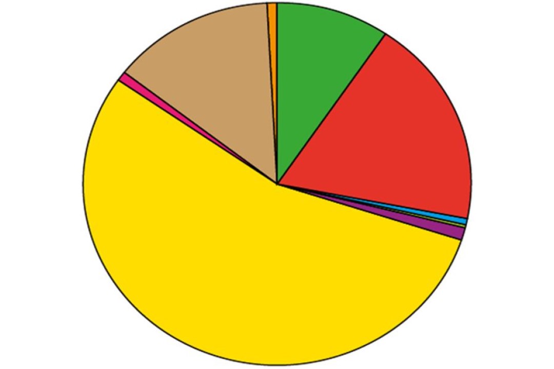 Look at the pie chart. Pie Chart hair.